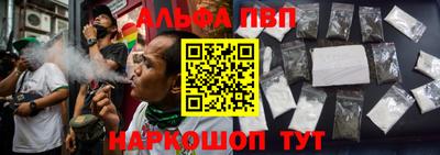 гашик Донской