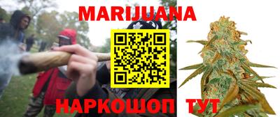 гашик Донской